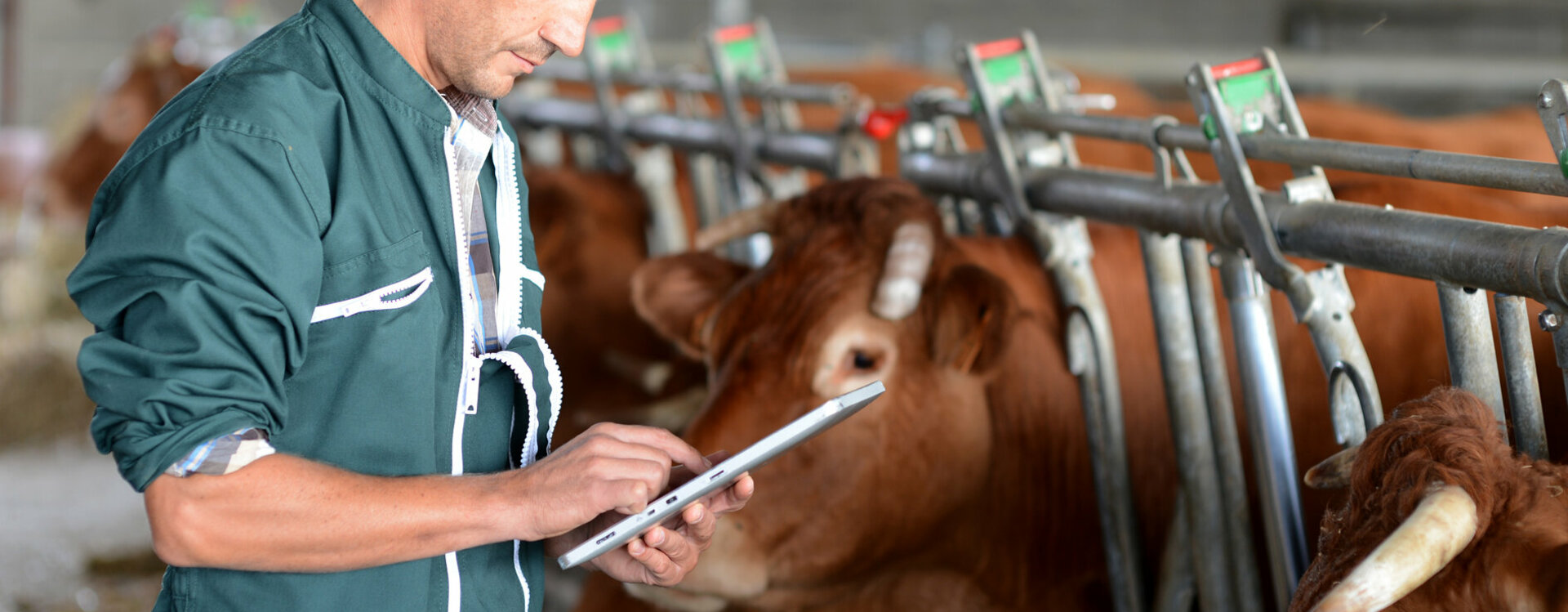 Alarme vidéoprotection contrôle d'accès  Aurillac (Cantal)